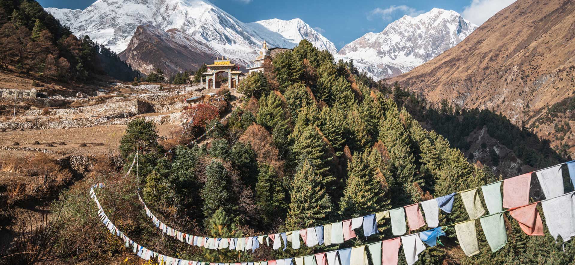 Plan Holidays -   Trip of the month