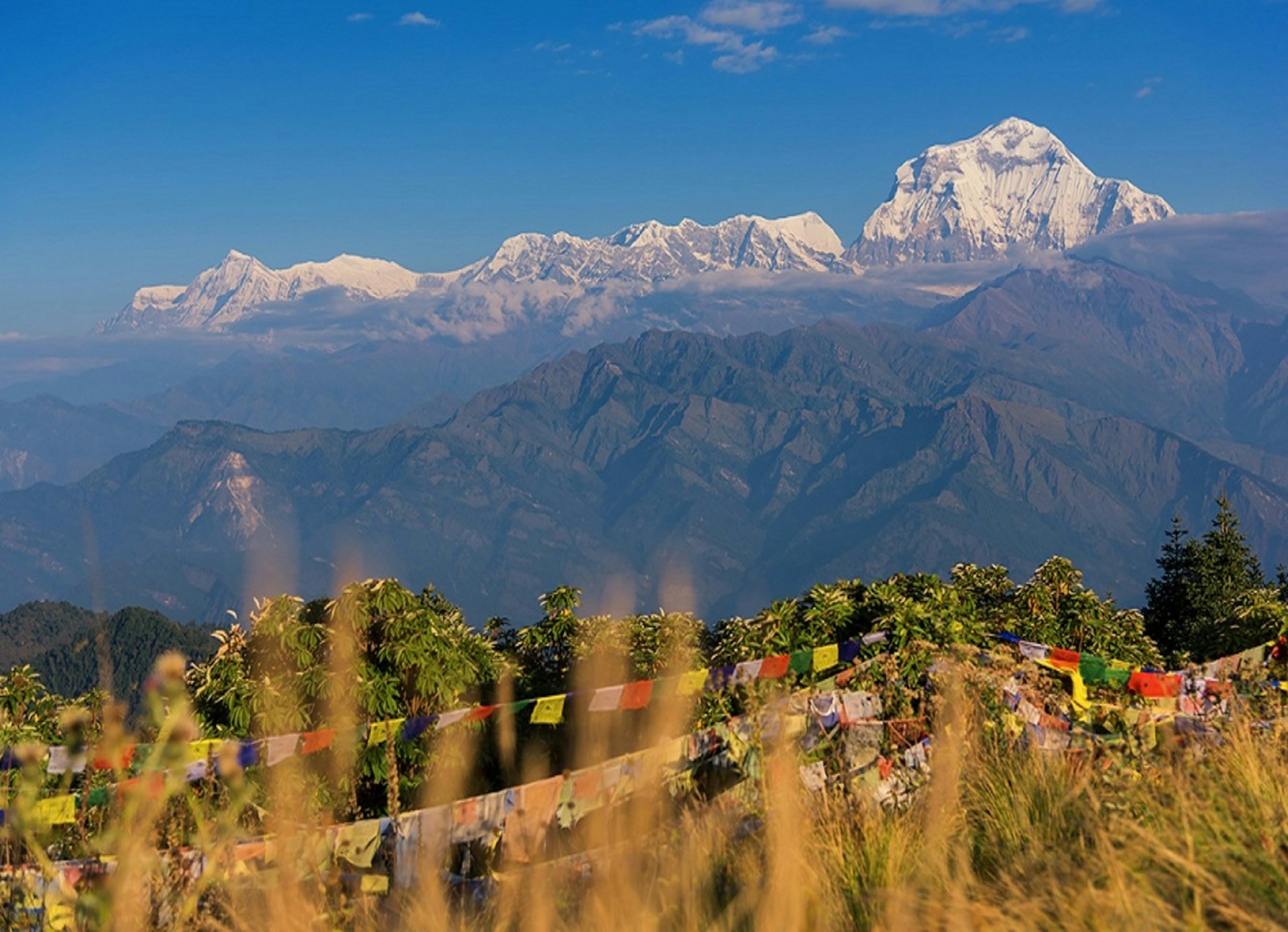 Ghorepani and Poonhill Trek