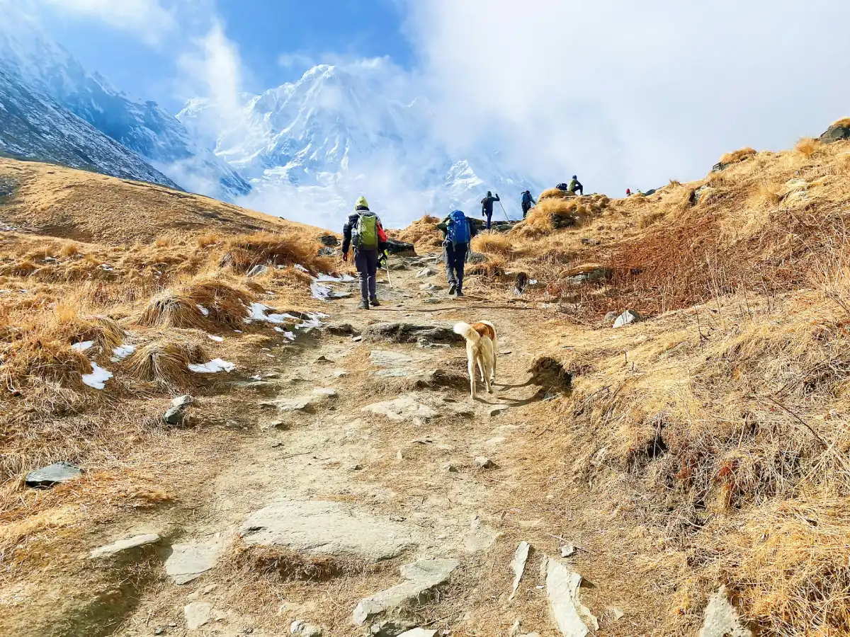 Trekking in Nepal